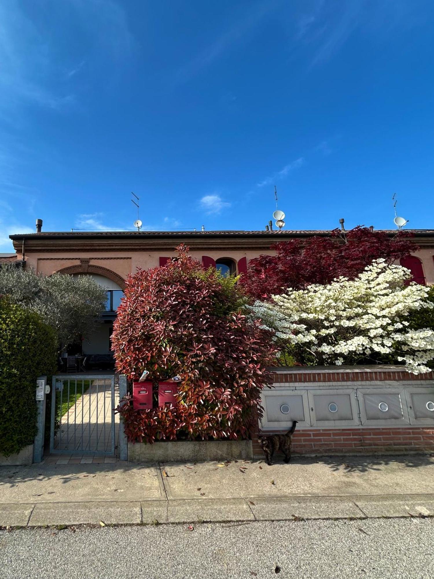 Soranza Suite Castelfranco Veneto Exteriér fotografie